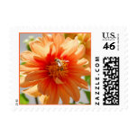 Sunlit Orange Dahlia Postage postage