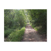Sunlit Path postcards by AryadnaDesign Sunlit Path postcards