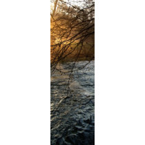 Sunlit River