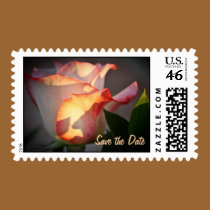 Sunlit Rose stamps