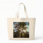 sunlit tree canvas bags