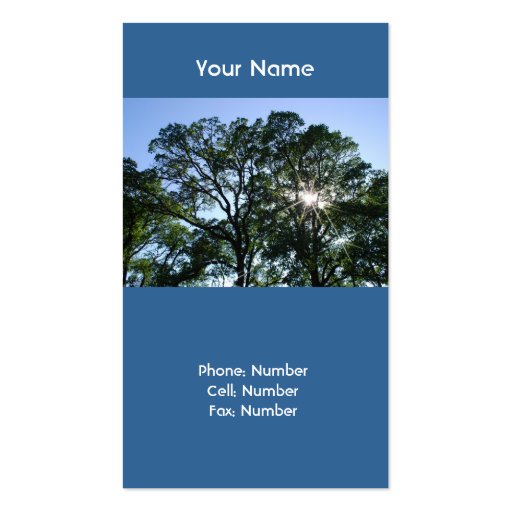 Sunlit Tree Business Cards (front side)