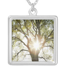 Sunlit Tree Necklace