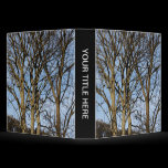 Sunlit Trees in Early Spring (1.5in) binders