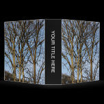 Sunlit Trees in Early Spring (2in) binders