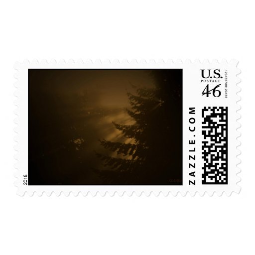 Sunlite Through The Evergreen Postage