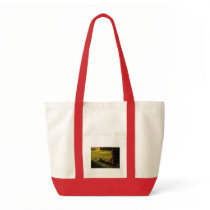 Sunnin Rock bags