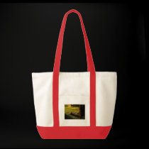 Sunnin Rock bags