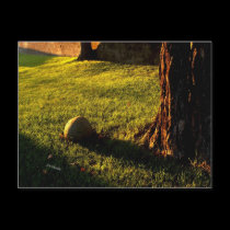 Sunnin Rock postcards