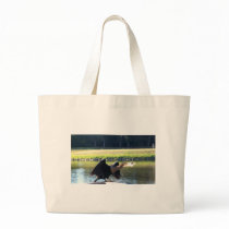 Sunning Anhinga Canvas Bag