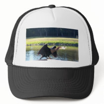 Sunning Anhinga Hat