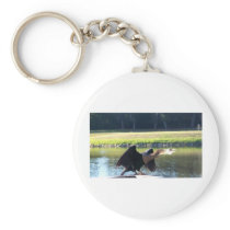 Sunning Anhinga Key Chains