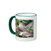 Sunning Crocodile mugs