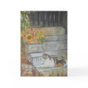 Sunning Tabby cards by lynndart Sunning Tabby cards