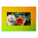 Sunny and Bright cards by codfishlady Sunny and Bright cards