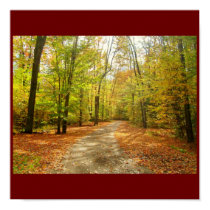 Sunny Autumn Trail Poster posters