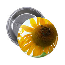 Sunny Bees buttons