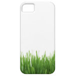 Sunny bright green grass earth photograph print iPhone 5 cover