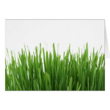 Sunny bright green grass photograph print cards