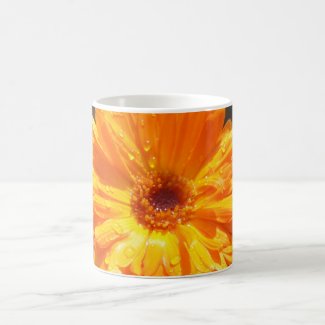 Sunny Calendula Raindrops Coffee Mug