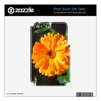Sunny Calendula Raindrops Decal For iPod Touch 4G