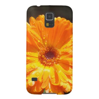 Sunny Calendula Raindrops Galaxy Nexus Cover