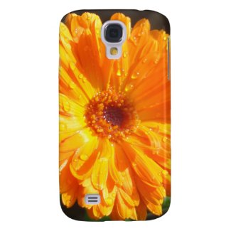 Sunny Calendula Raindrops HTC Vivid Cases