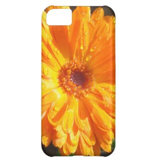 Sunny Calendula Raindrops iPhone 5C Case