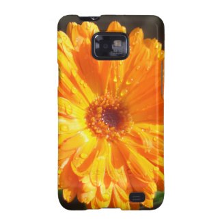 Sunny Calendula Raindrops Samsung Galaxy S2 Cases