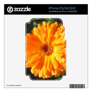 Sunny Calendula Raindrops Skin For iPhone 2G