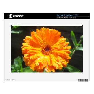 Sunny Calendula Raindrops Small Netbook Skins