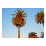 Sunny California Palm Trees Greeting Card
