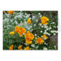 Sunny cards by hopefulone Sunny cards