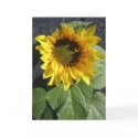 Sunny cards