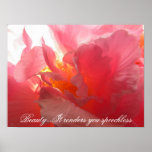 Sunny Confederate Rose Poster