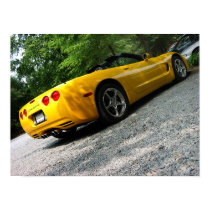 Sunny Corvette posters