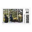 "Sunny, Cosmo & Celeste" postage by paintonmypaws "Sunny, Cosmo & Celeste" postage