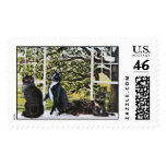 "Sunny, Cosmo & Celeste" postage
