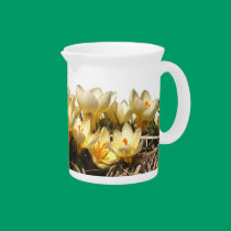 Sunny Crocus ~ Pitcher pitchers