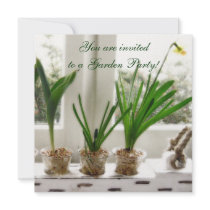 Sunny Daffodils in window Personalized Invitation