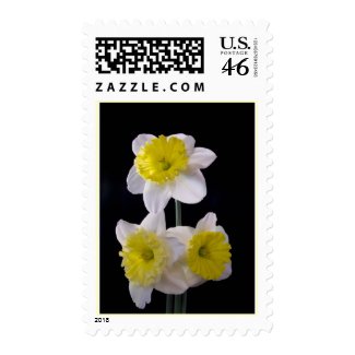 Sunny Daffodils Stamp zazzle_stamp