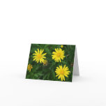 Sunny Day cards
