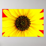Sunny Day, JLH poster