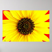 Sunny Day, JLH poster