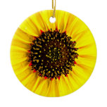 Sunny Day ornaments