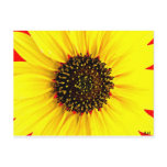 Sunny Day photo by JLH Post Cards