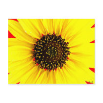 Sunny Day photo by JLH Post Cards