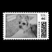 Sunny Day stamps