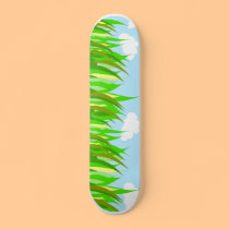 Sunny Day Skateboard skateboards