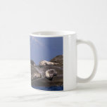 Sunny Days Are Here Again - Mugs mugs